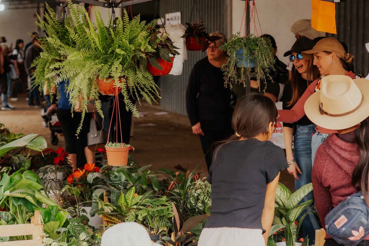 La 91° Exposición Rural de Río Cuarto convocó a más de 100 mil visitantes - imagen 6